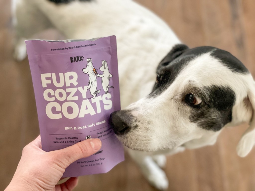 Bark Food holding bag of dog treats while dog sniffs them