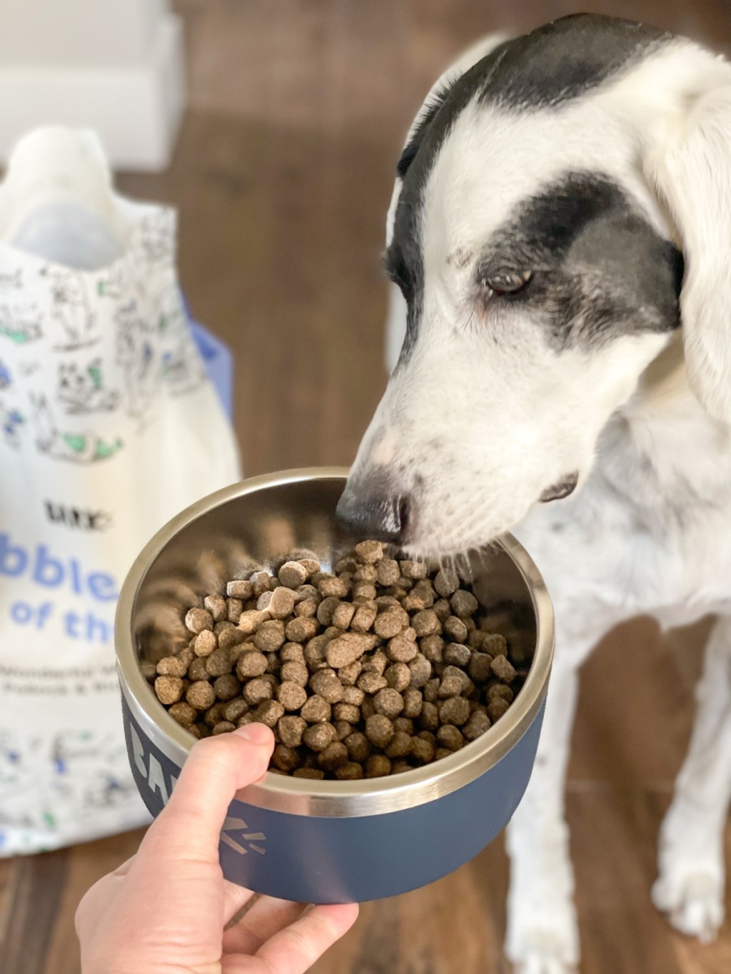 dog eating Bark Foods