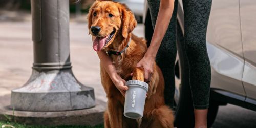 MudBuster Dog Paw Cleaner from $12 on Amazon (Regularly $20)