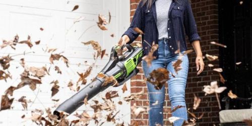 Greenworks Pro 60V Cordless Leaf Blower Only $39.50 Shipped on HomeDepot.online (Regularly $158)