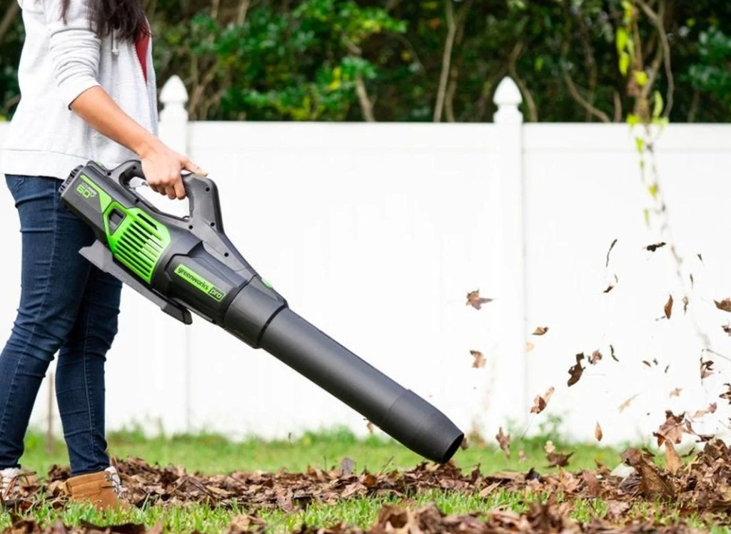 Greenworks Pro Leaf Blower