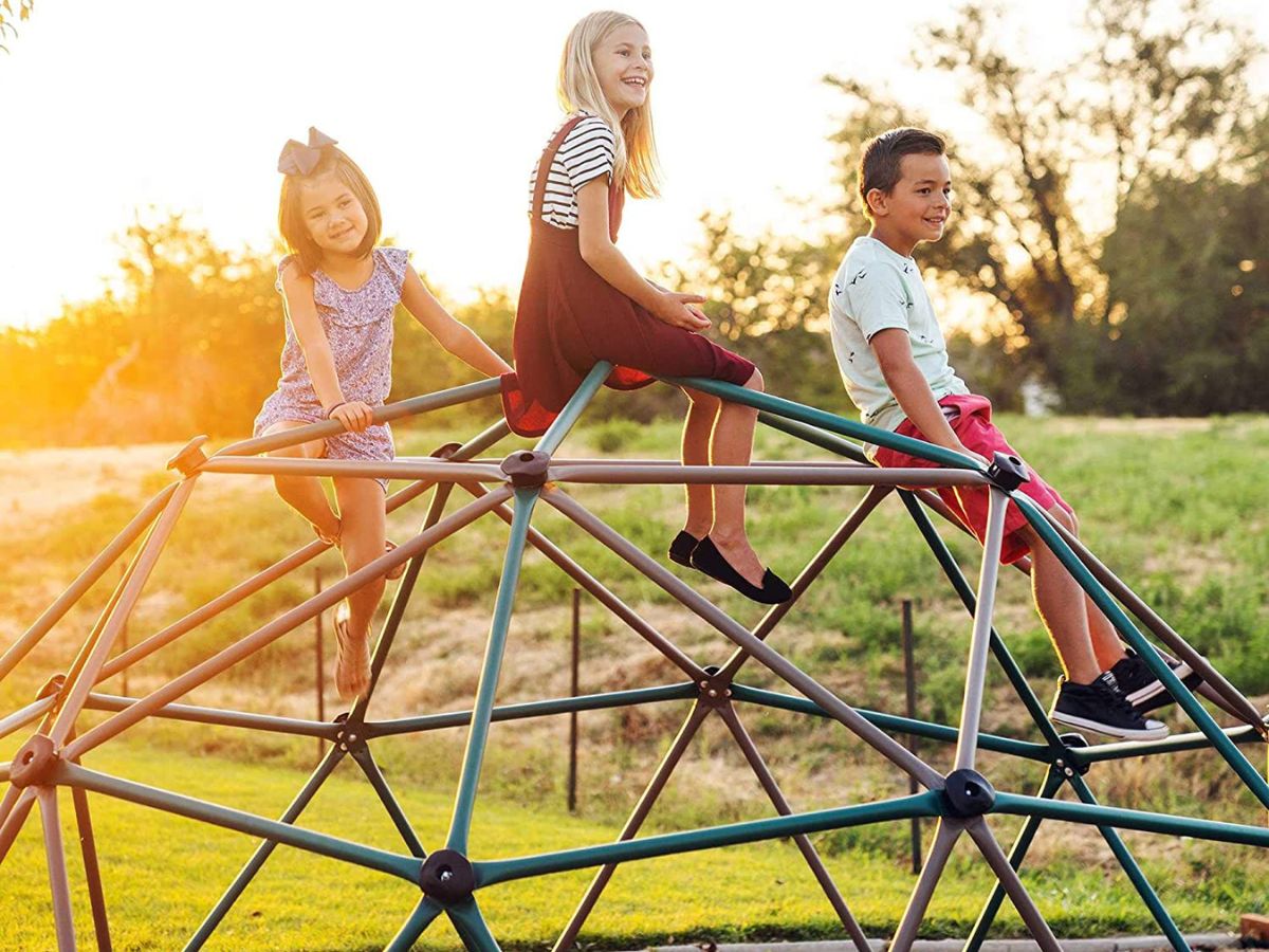 Lifetime Geometric Dome Climber Play Center