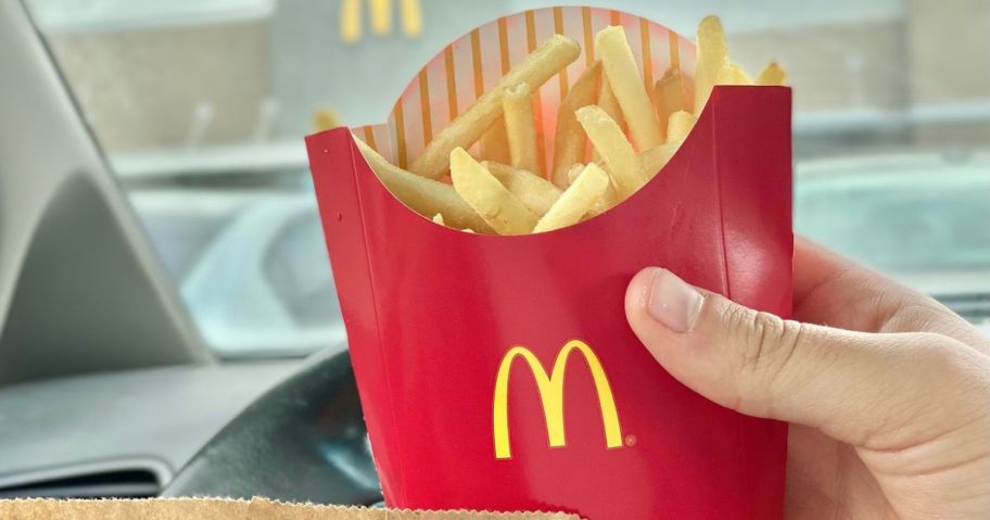 hand holding a mcdonalds fries box