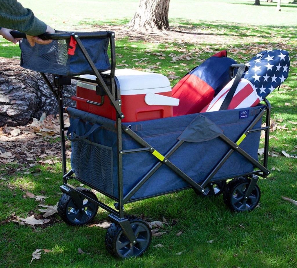 person pushing blue wagon in grass