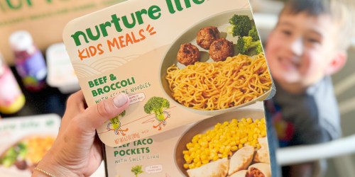 Score $75 Off FOUR Nurture Life Kids Meal Boxes (Heat & Eat Meals + More Just $2.85!)