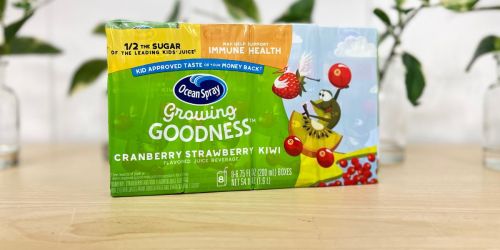 Ocean Spray Growing Goodness Juice Boxes 8-Count Only $2.49 After Cash Back at Target