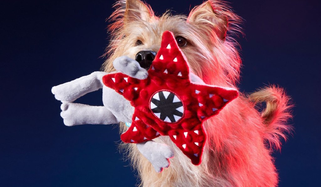 BARK Dog Toys