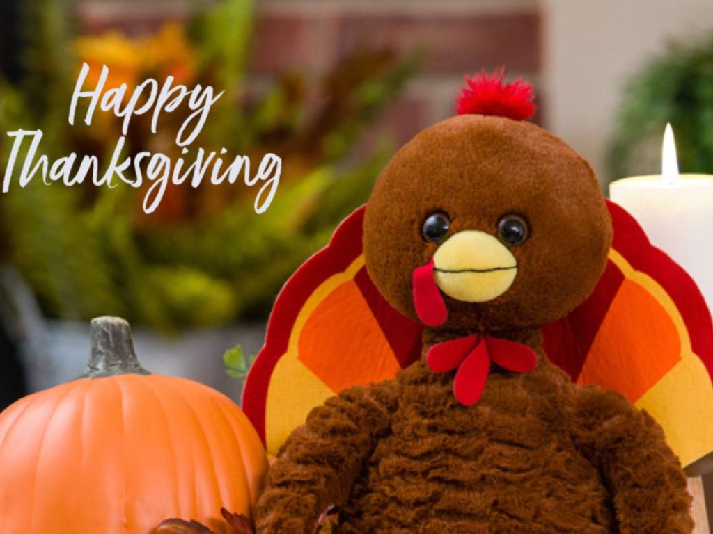 Build a bear turkey