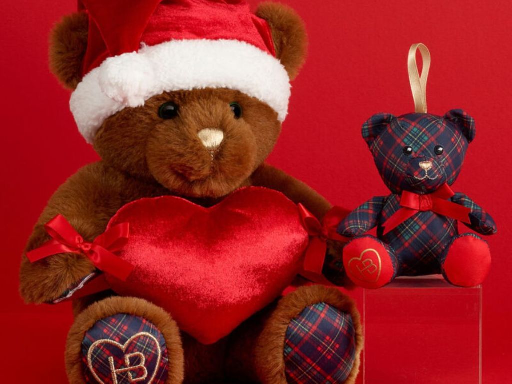 Build a Bear Gift Box Bear set