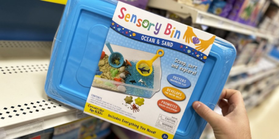 Kids Sensory Bins from $10.88 on Walmart.online (Regularly $20)