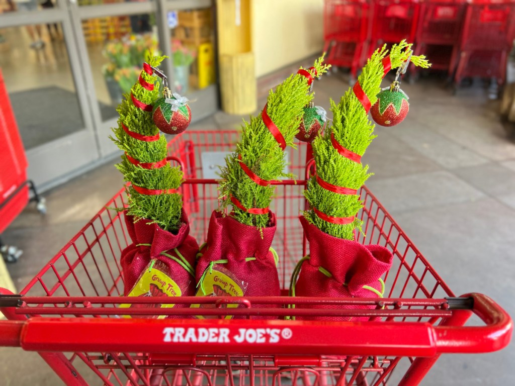 Grump trees in Trader Joe's cart