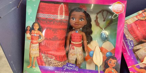 Disney Princess Doll & Dress Up Sets ONLY $25 on Walmart.online