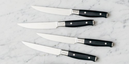 Ninja Foodi NeverDull Steak Knife Set Just $47.99 Shipped on BestBuy.online (Regularly $80)