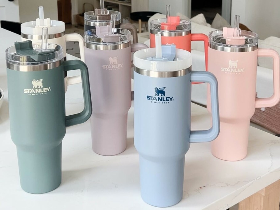 $24.99 for a 40oz Stanley?! Yes, Really – Multiple Colors, too!