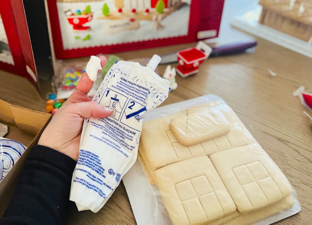 hand holding a bag of icing