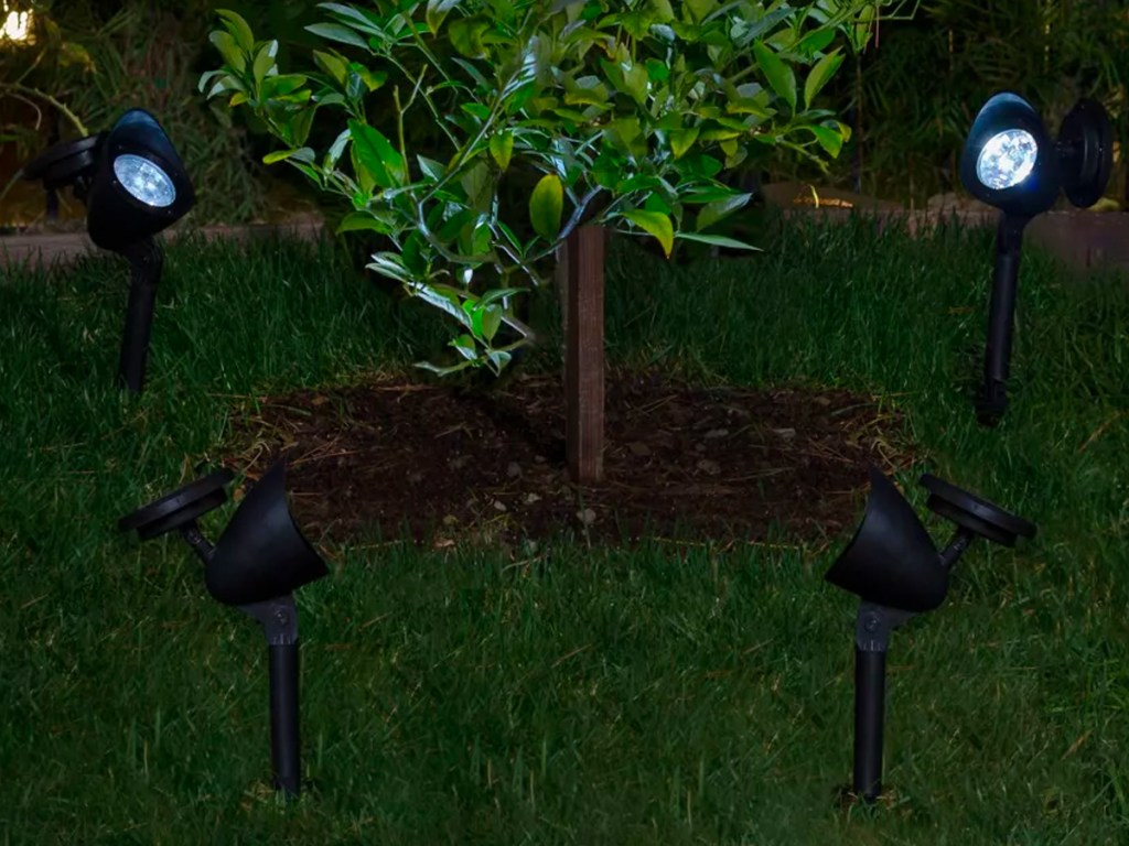 solar powered LED lights