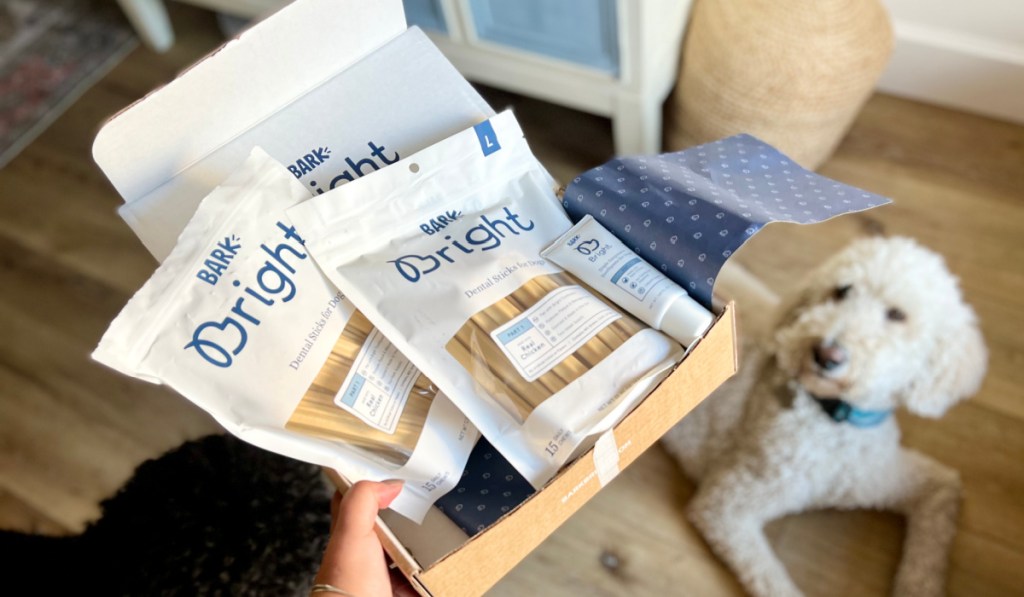 dog next to dental care box