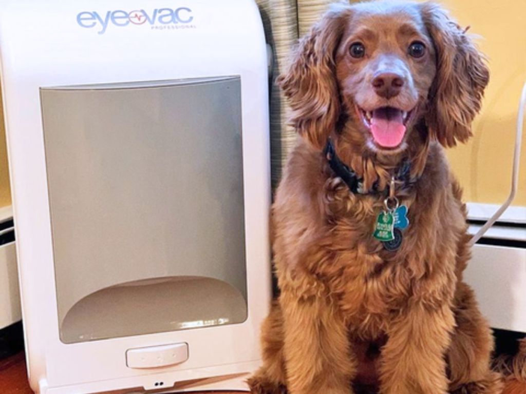 dog standing next to eyevac