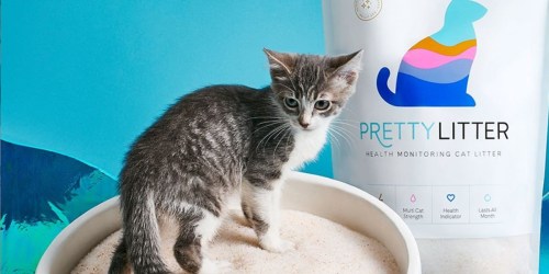 PrettyLitter Cat Litter 8 Pound Bag Just $16 on Chewy.online (Regularly $27) | Looks Great & Catches Infections