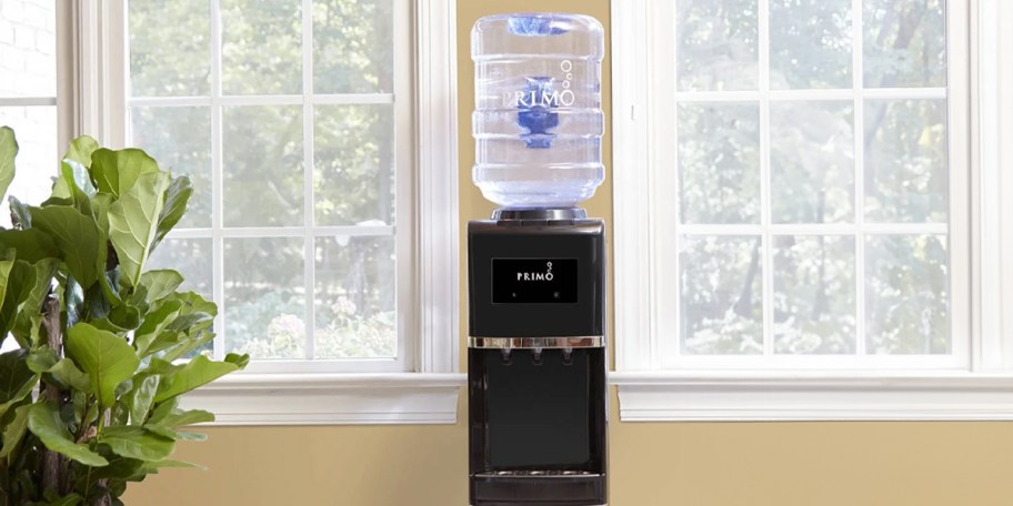 black and stainless steel water dispenser with jug on top near windows 