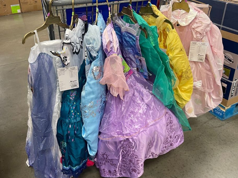 Sam’s Club Halloween Costumes from $19.98 | Marvel, DC, Disney Princess & More