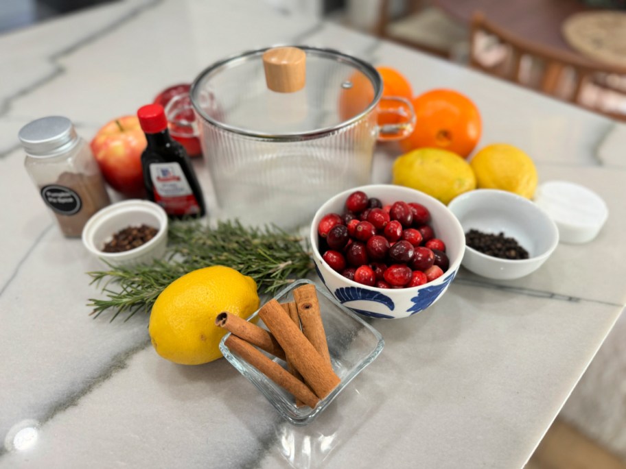 simmer pot with fruits, herbs and spices on counter