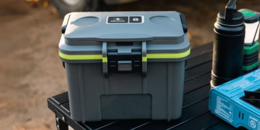 Rare Savings on Pelican Coolers & Vault Cases + FREE Shipping