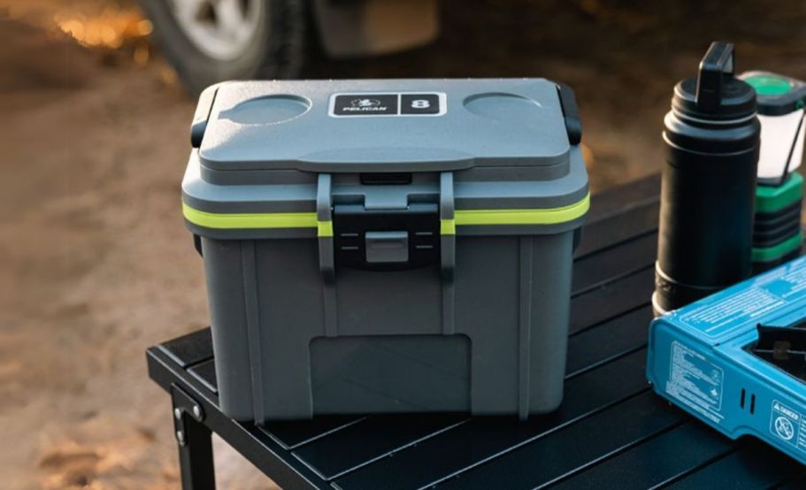 Rare Savings on Pelican Coolers & Vault Cases + FREE Shipping