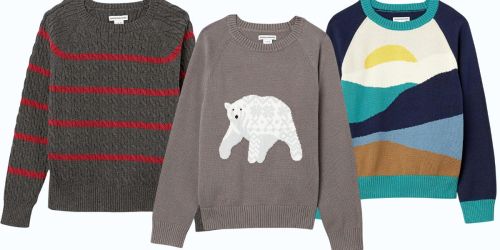 Amazon Essentials Boys & Toddlers Crew Neck Sweaters from $11 (Regularly $20)