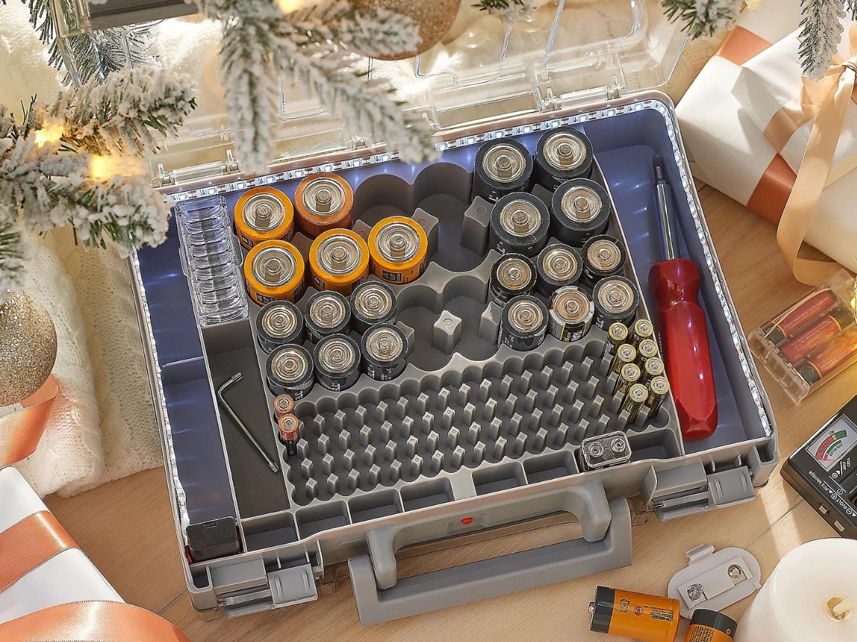 Battery Organizer Storage Case w/ Light & Tester