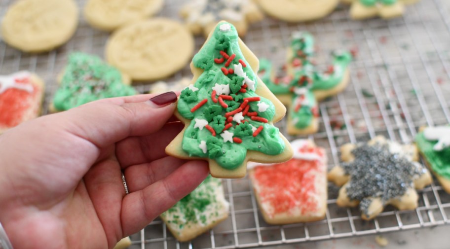 Hand holding up a christmas tree sugar cookie