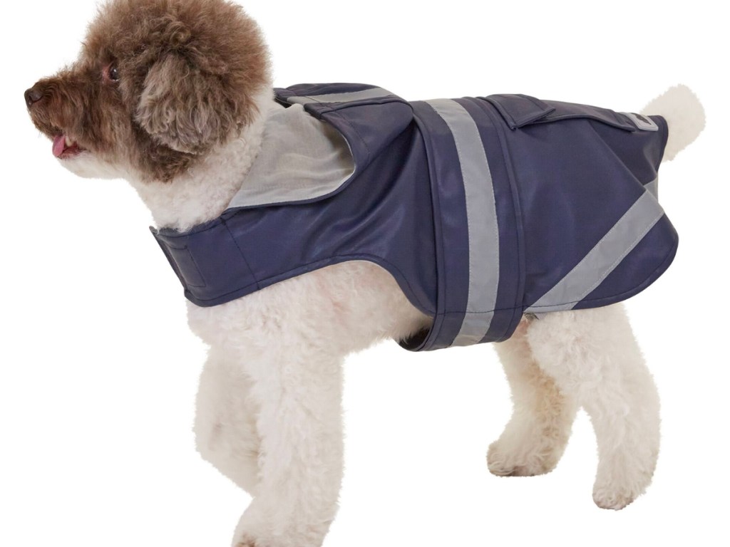 eddie bauer pet raincoats