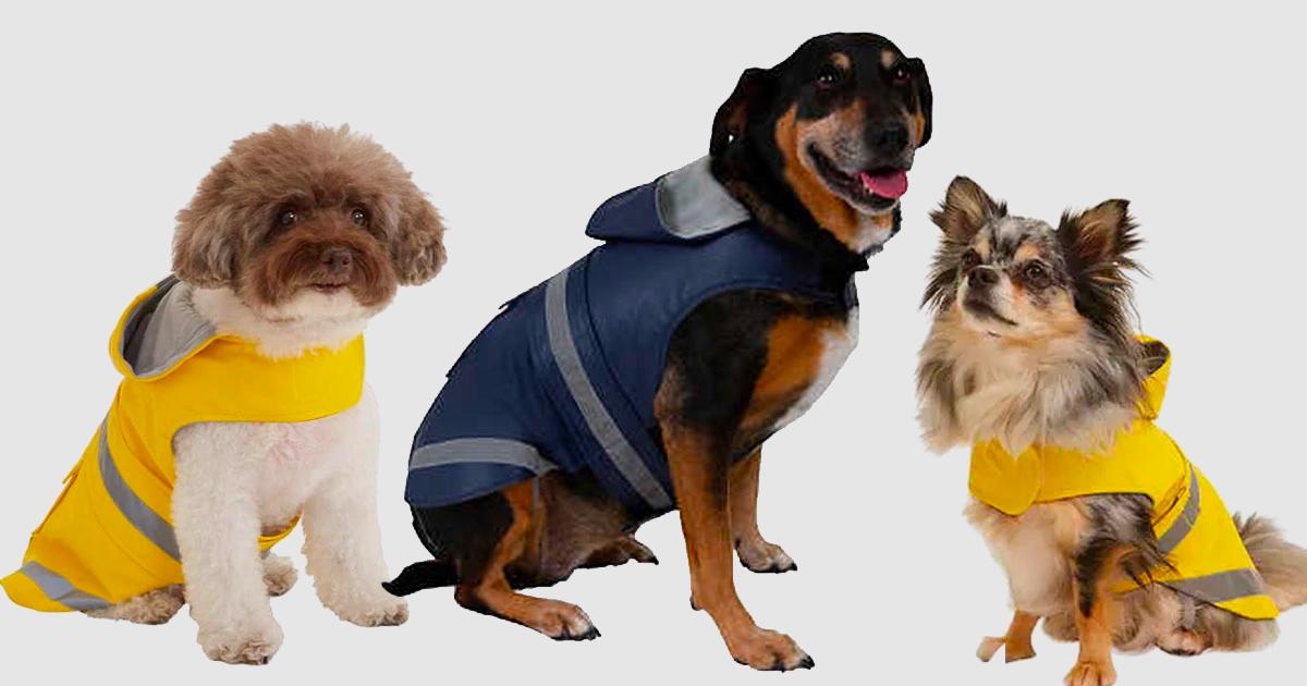 eddie bauer pet raincoats