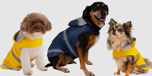 Eddie Bauer Pet Rain Coats Just $8.99 on Costco.online (Regularly $15)