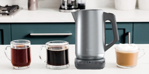 Ninja Precision Temperature Electric Kettle Just $41 on Kohls.online (Reg. $100) | Easily Boil Water for Any Drink