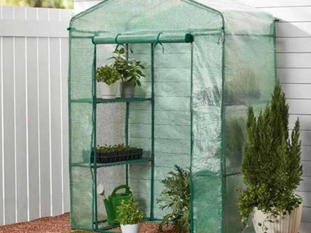 greenhouse with plants inside in backyard