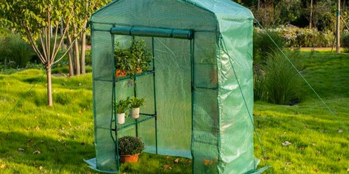 Walk-In Greenhouse Just $49 Shipped on Walmart.online | Includes Shelves for Pots