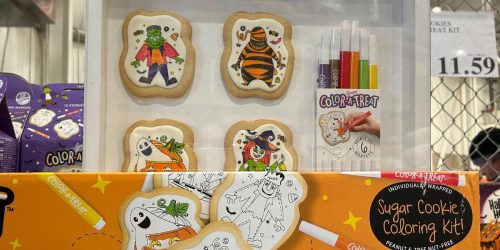 Halloween Cookie Coloring Kits Only $11.59 at Costco | Witches, Mummies, Ghosts & More