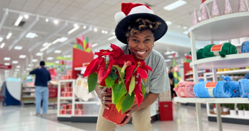 red poinsettia flower 