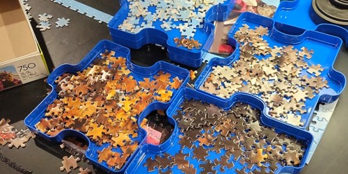 Puzzle Sorting Tray Set Only $6.74 on Target.online (Reg. $18)