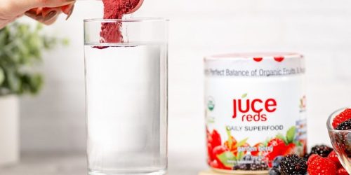 Terra Kai Organics Juce Mixes Only $19.99 Shipped on Costco.online – Vegan, Gluten-Free, & Non-GMO