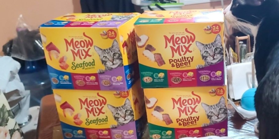 Meow Mix Cat Food 24-Count Boxes Just $11 Shipped on Amazon (Reg. $19)