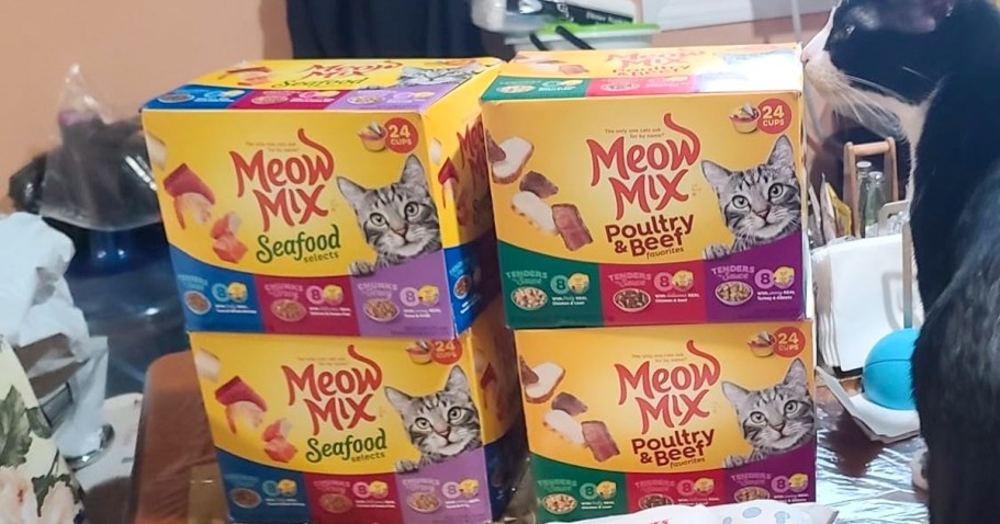 Meow Mix Cat Food 24-Count Boxes Just $11 Shipped on Amazon (Reg. $19)