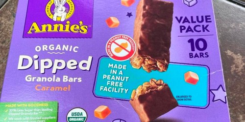 Annie’s Organic Granola Bars 10-Count Box Just $5.95 Shipped on Amazon (Regularly $8)