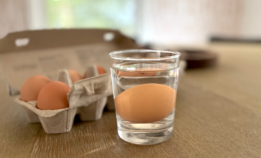 one brown egg in glass of water with carton of dozen eggs in background