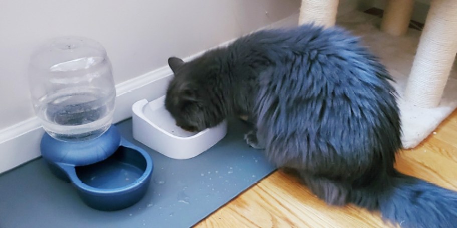 Gorilla Grip Silicone Pet Feeding Mat Just $7 on Amazon | Durable & Dishwasher-Safe