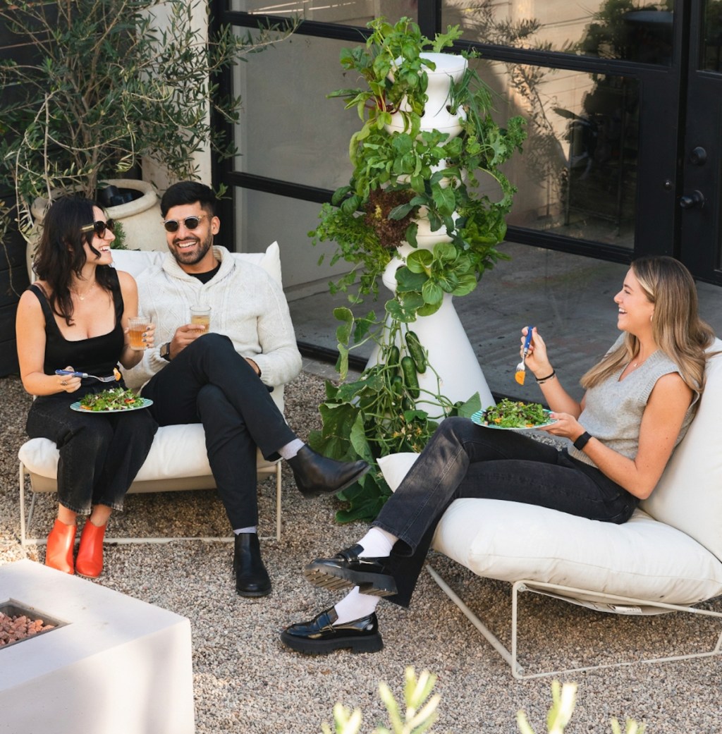 people sitting outside by lettuce grow