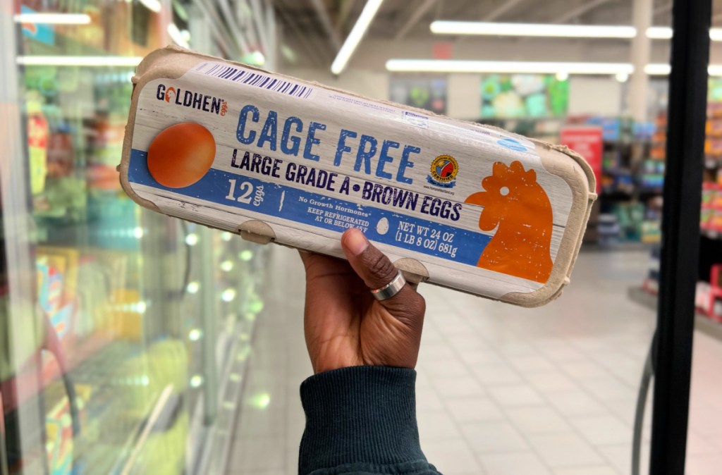 hand holding up a carton of ALDI cage free eggs in a cooler aisle