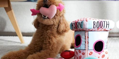 BOGO Free Valentine’s Day Pet Gifts on Chewy.online | Save on Plush Toys, Clothing, & More