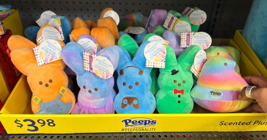 Peep Scented Plush on a shelf